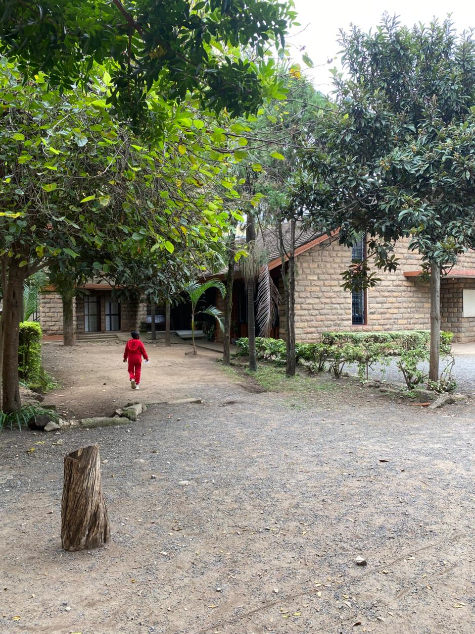 School Life